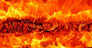 Bois-énergie : le chauffage par la biomasse