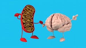 Fun 3d Cartoon Mitochondria (with Alpha Stock Footage SBV-351940867 - Storyblocks