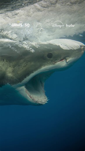 Impact of Jaws on Filmmaking and Cinema History