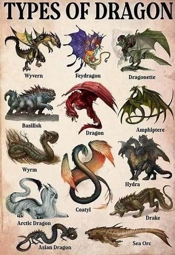 5 TYPES OF MYTHICAL DRAGONS YOU’VE NEVER SEEN BEFORE! 🐉🔥 #dragons #mythicalcreatures #viralvideo