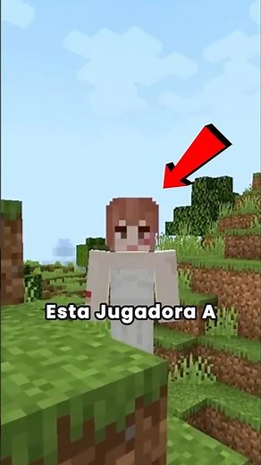 Never accept this player in Minecraft 💀