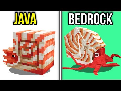 67 Minecraft Java vs Bedrock Things