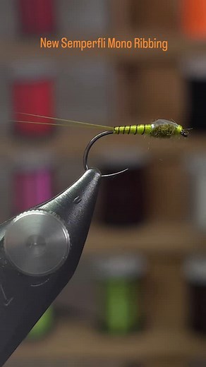 First look at our new Mono Ribbing we use on this simple baetis pattern! Tied with Classic Waxed Thread, Tail Fibre Fibbets, Mono Ribbing in 0.1mm Brown, Superfine Dubbing and Mirror Tinsel! #semperfli #tiewithsemperfli #flugbindning #fluefiske #pescamosca #pescaconmosca #troutflies #troutfishing #flytyingreel #flyfishingreel #fishingvideo #flytyinglife #flyfishinglife #fishinglife #flytyingddict #flytyingjunkie #pechelamouche #flies #fishingflies #trout #troutflies #troutfishing | Semperfli