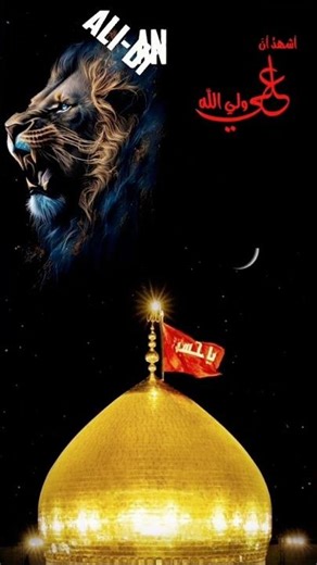 Ali Mola 🥷 Ali Mola 🥷Ali Mola 🥷😎#hazartali #alimola #growmyaccount