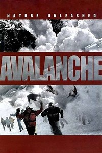 Nature Unleashed:  Avalanche - Movie