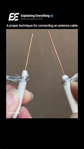 rahulyadav | Explaining Everythinng on Instagram: "A poorly terminated antenna cable is the primary cause of signal ghosting, "pixelation," and impedance mismatch. This is the Shield-Integrity Connection, the professional standard for ensuring a 100% weather-sealed and interference-free signal path. The critical step is the staggered dielectric strip. Instead of cutting all layers at once, you precisely strip the outer jacket to expose the braided shielding, then fold that shield back over the j