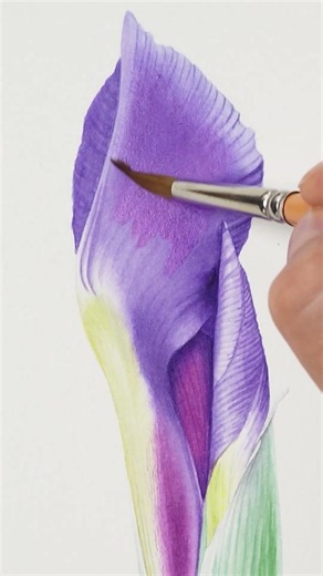 botanical watercolor painting TUTORIALS