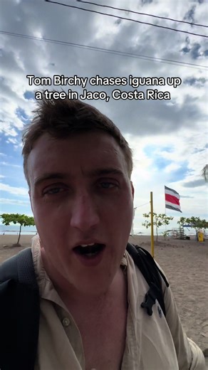 Tom Birchy's Iguana Chase in Jaco, Costa Rica