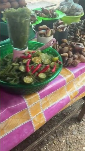 Buying sea shells at the Mercado