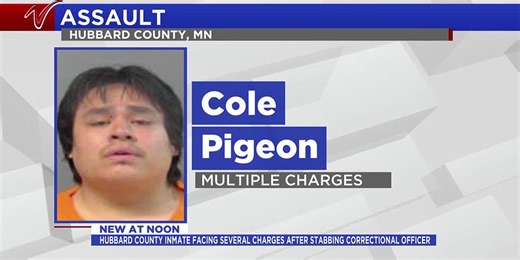 Hubbard County inmate facing several charges after stabbing correctional officer