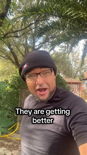 They are getting better every single day. #English