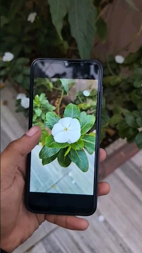 Samsung Galaxy A14 5G Camera Test for Portrait Mode #shorts #samsunga14