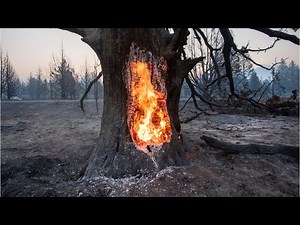 INCREDIBLE VISION: Two out of control fires burn across norther California