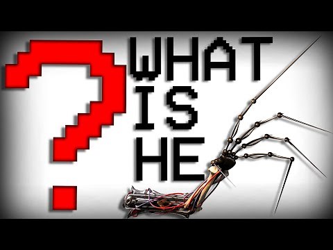 What Does The Prototype Look Like?