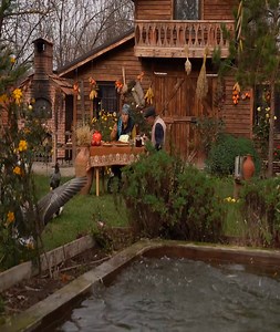 🌶Cooking Beef And Vegetable Pilaf 🌶 | Easy Life TV