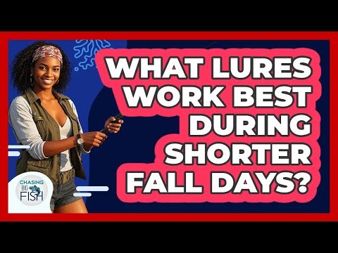 What Lures Work Best During Shorter Fall Days?