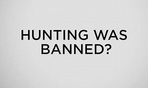 12K views · 490 reactions | #RMEF is proud to present #PROJECTELK on August 15th at 7 pm EST on The Sportsman Channel. The documentary profiles the benefits that hunting has on conservation. #HuntingIsConservation | Rocky Mountain Elk Foundation | Facebook