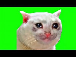 Sad cat crying meme Green Screen