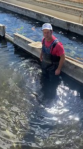 How to handle a fish! #fishtok #fishing #flyfishing #fish #blackcanyontrout | Henry Hawkins