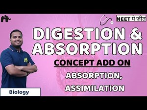 Digestion And Absorption Class 11 NEET Concept Add on | Food Absorption, Assimilation | Biology