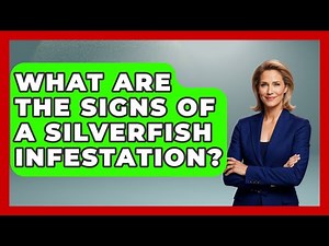 What Are The Signs Of A Silverfish Infestation? - Insects and Invaders