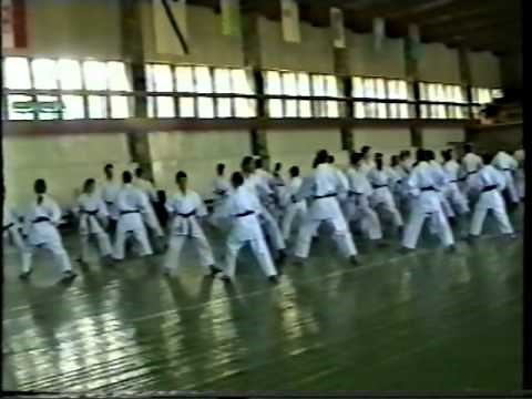 ХИТОШИ КАСУЯ СЕМИНАР В РОСТОВЕ 1996 часть 1