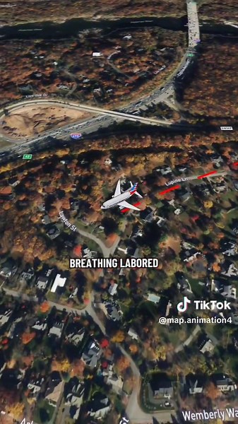 Emergency Procedures in Aviation Explained