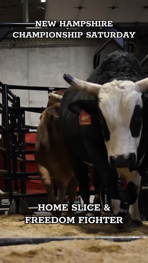 Ready for Championship Saturday!! Be watching on paramount plus! | K Bar C Bucking Bulls