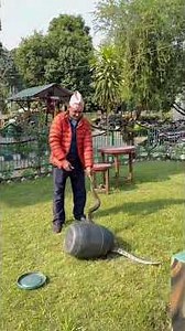 rescued python from ta house