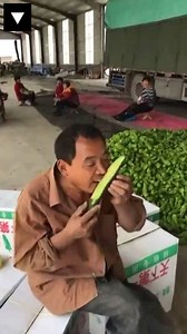 678K views · 180 reactions | A talented Chinese man can quickly and efficiently peel a cucumber. | PlayGround + | Facebook