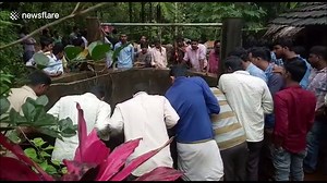 Snarling wild leopard rescued from welll - video Dailymotion