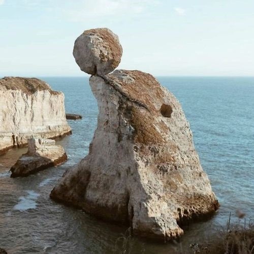 How to use kitchen scissors