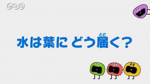 水は葉にどう届く？ | ふしぎエンドレス　理科６年 | NHK for School