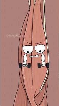 Why Your Muscles Hurt After the First Day at the Gym? #shorts