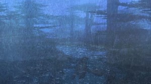 Heavy Distant Rain Rainforest Tropical Marshes Stock Footage Video (100% Royalty-free) 1092289989 | Shutterstock