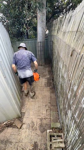 26K views · 400 reactions | Fear no one except Mother Nature#satisfying #cleanup #satisfyingvideos #fyp #trending | Dee’s Lawn & Landscaping | Facebook