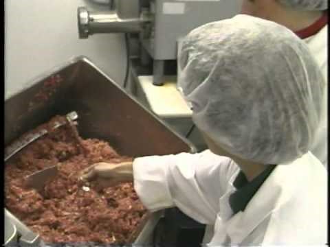 HACCP Plan Implementation and Records Management