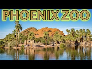 Phoenix Zoo animals tour