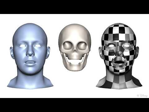 Interactive Sculpting of Digital Faces Using an Anatomical Modeling Paradigm