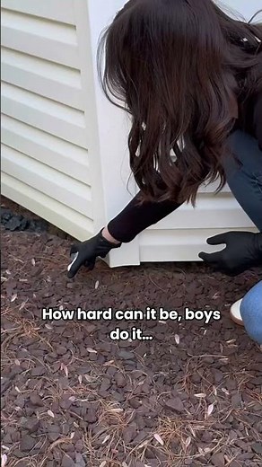 Easy DIY Cockroach Treatment That Actually Works