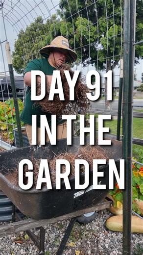Preparing Raised Beds for a Successful Growing Season