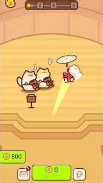 Idle Cat Live Concert