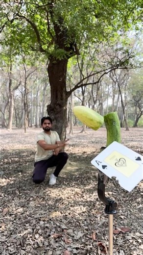 Mind blowing collection of throwing Cards || RKR Tricks