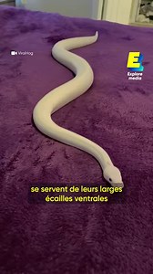 1.1M views · 8K reactions | L’immense fortune cachée de Vladimir Poutine | Explore Media | Facebook