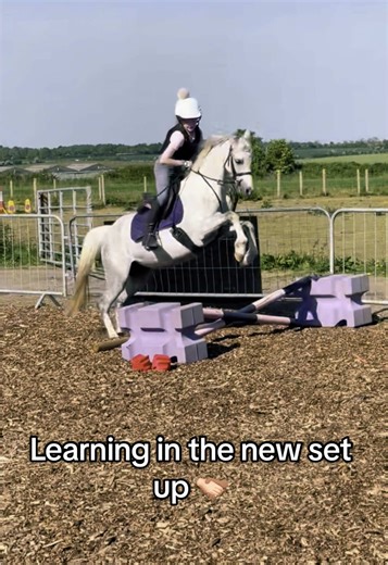 Need to work on the elbow release but the smile says everything 🥰 #learning #teachnique #jumping #poles #horsegirl #poniesoftiktok #ponymad #love