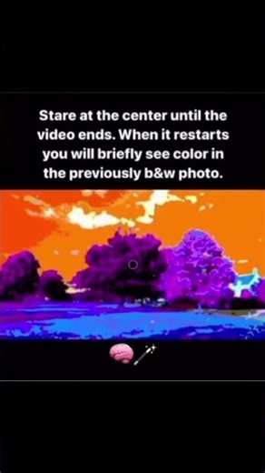 Did you SEE the true colours of this image? #opticalillusion #shorts