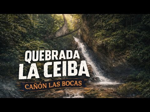 Quebrada La Ceiba Cañón Las Bocas Barranquitas/Comerío, Puerto Rico 🇵🇷 Versión TikTok
