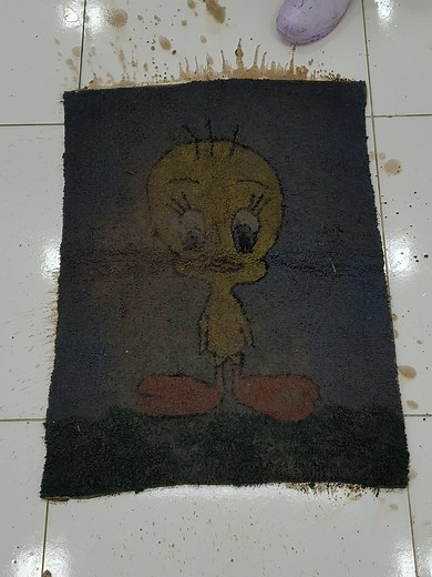 Satisfying Carpet Cleaning Process for Fluffy Rugs