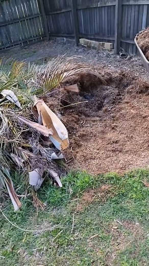 2.6K views · 51 reactions | FIRST CARPET PYTHON ON EGGS FOR THE SEASON! Witnessing the first Carpet Python on eggs this season—nature’s wonders never get old! 讀 #snakecatcher #snake #wil #snakecatcher #carpetpython #reptiles #wildlife #naturelovers #snake #eggs #fyp #viral #wildlifevideo | Wildlife With Stuart Mckenzie | Facebook