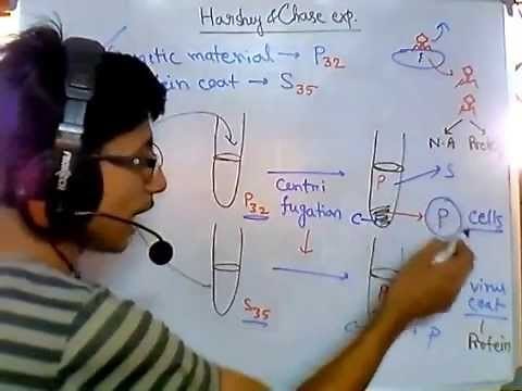 Hershey and Chase experiment